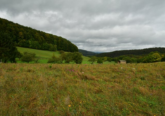 … umgeben von reizvoller Natur