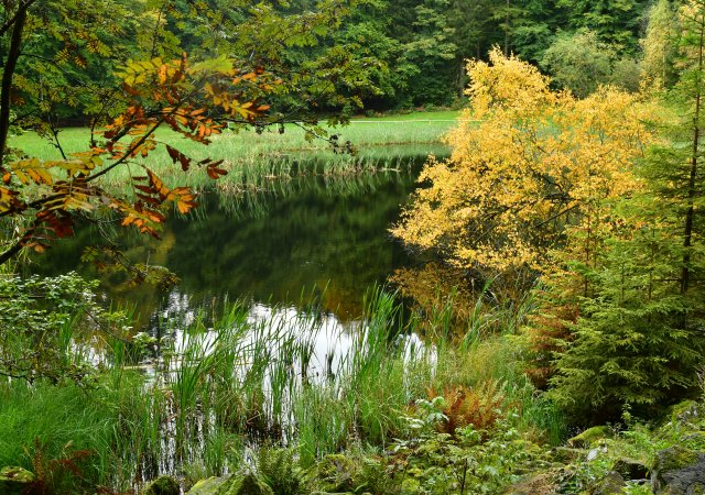 Der Teich in ganzer Schönheit