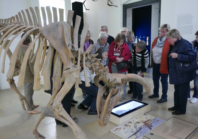 Interessant, was es im Museum zu erfahren gibt. Selbst das Knochentier scheint sich dafür zu interessieren.